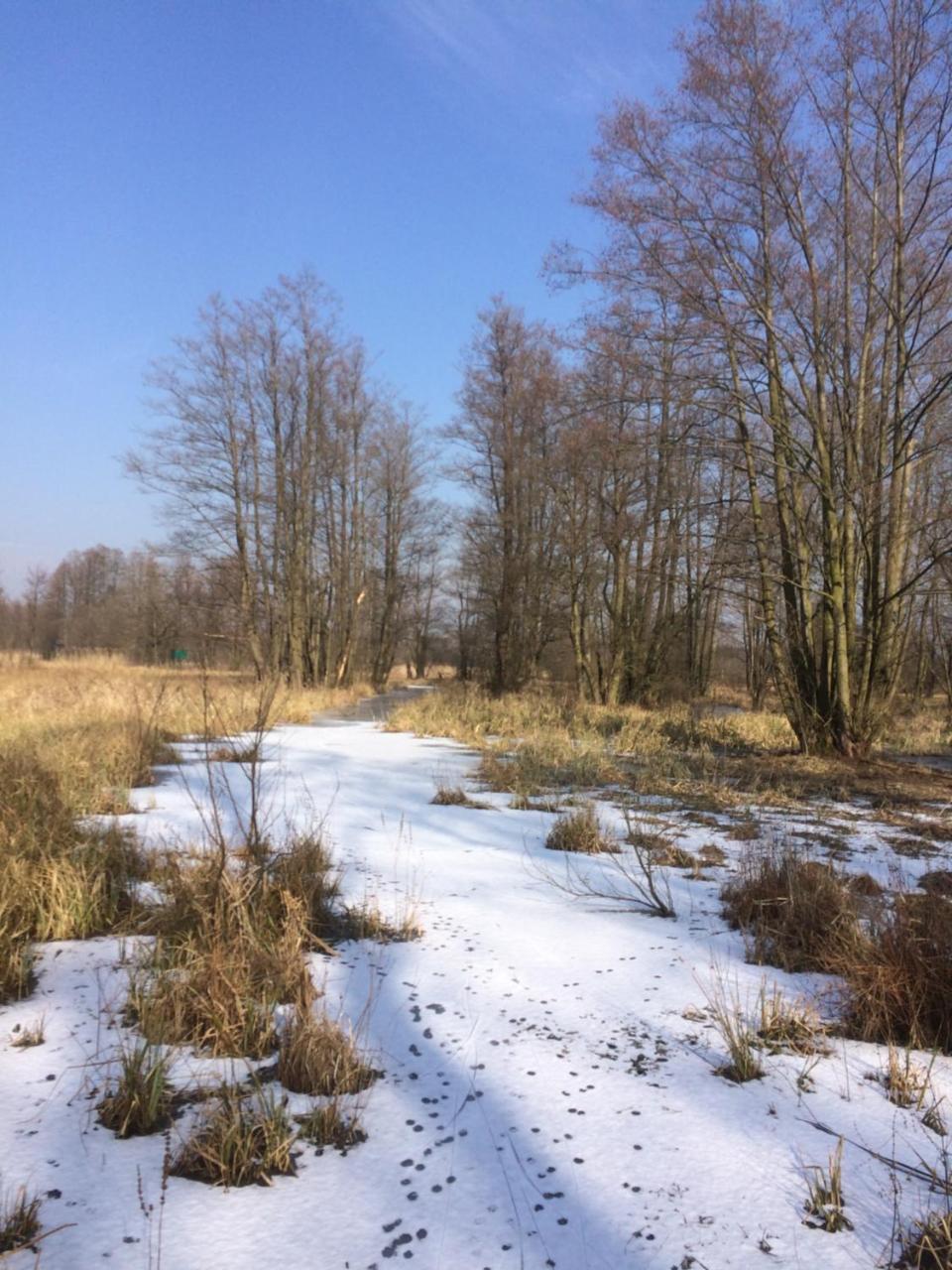 Appartamento Storchenblick Schlepzig Esterno foto